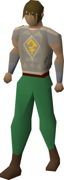 File:Bandos d'hide body equipped male.png