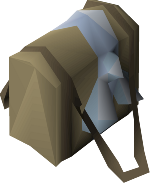 Plain satchel detail.png