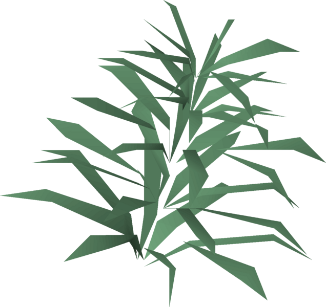 File:Rosemary detail.png