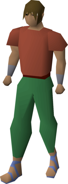 File:Villager sandals (yellow) equipped male.png