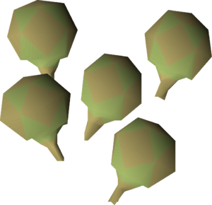 Potato cactus seed detail.png