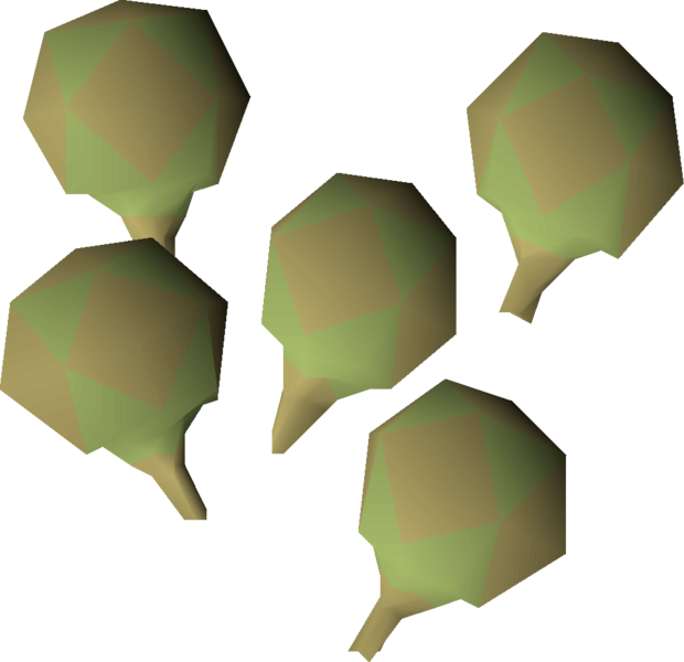 File:Potato cactus seed detail.png