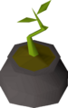 Thumbnail for version as of 19:20, 14 October 2024