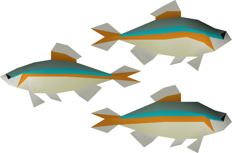 File:Minnow 3 detail.png