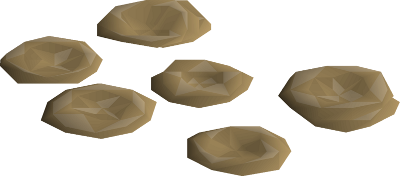 File:Numulite 5 detail.png