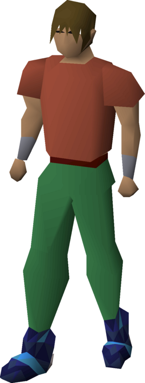 Saradomin d'hide boots equipped male.png
