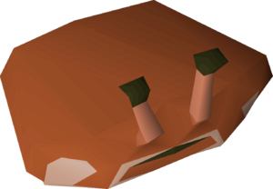 Fresh crab shell detail.png