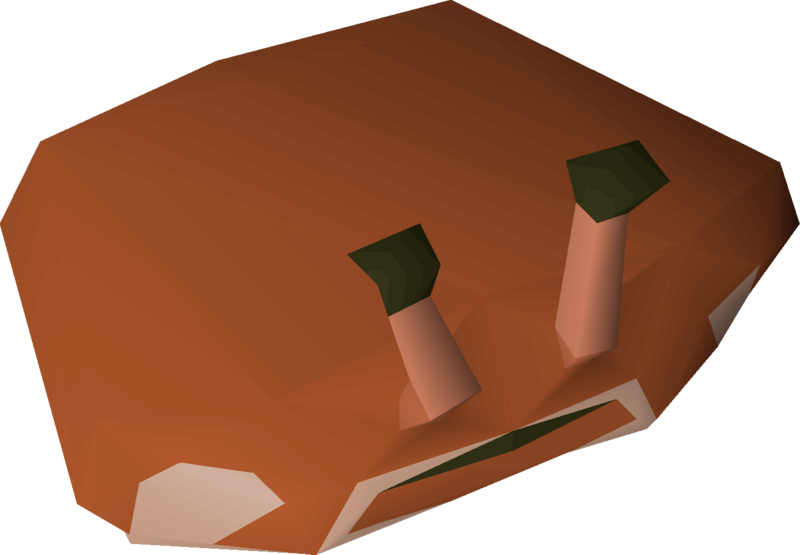 File:Fresh crab shell detail.png