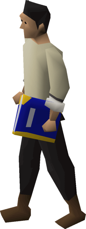 Holy book equipped.png