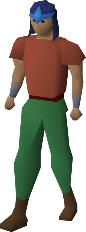 Saradomin coif equipped male.png