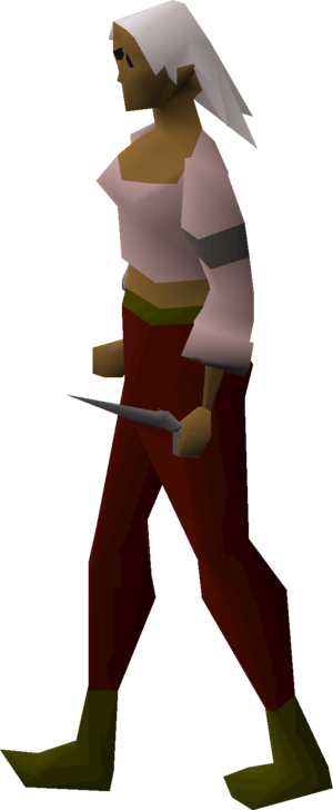 Iron defender equipped female.png
