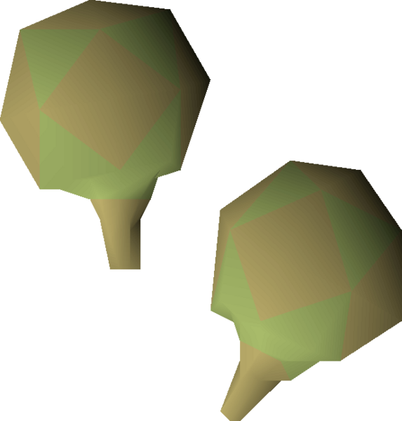 File:Potato cactus seed 2 detail.png