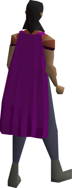 File:Fremennik purple cloak equipped female.png