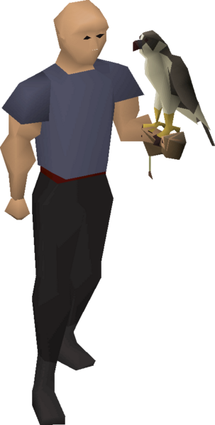 File:Falconer's glove with falcon equipped.png