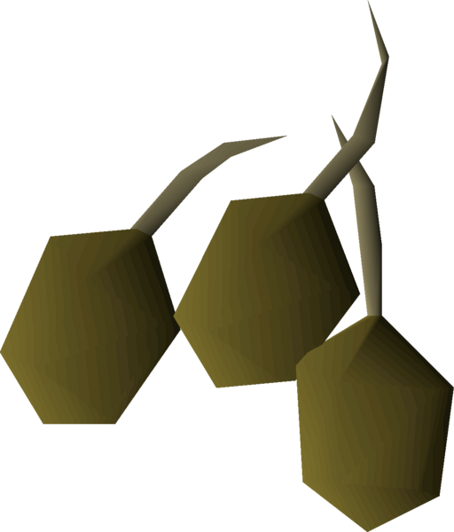 File:Potato seed 3 detail.png