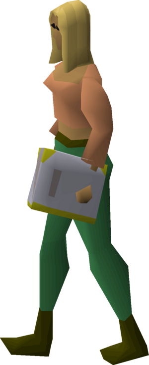 Book of law equipped female.png