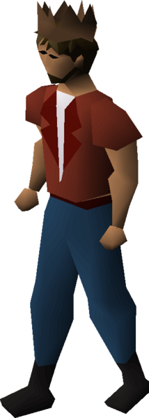 File:Brown partyhat equipped male.png