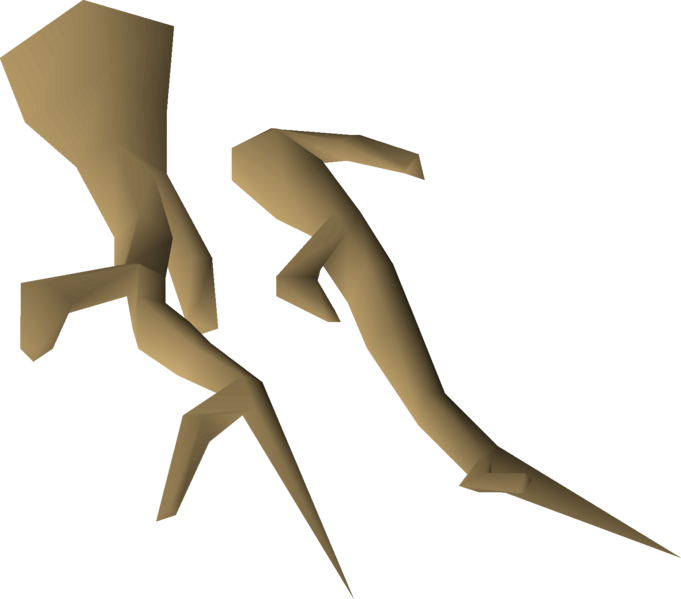 File:Fossilised roots detail.png