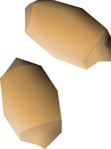 File:Palm tree seed 2 detail.png