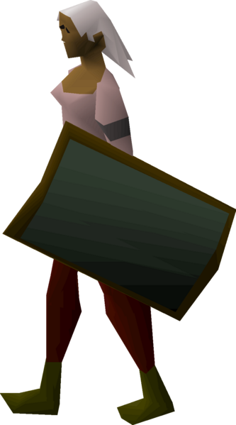 File:Adamant sq shield equipped female.png
