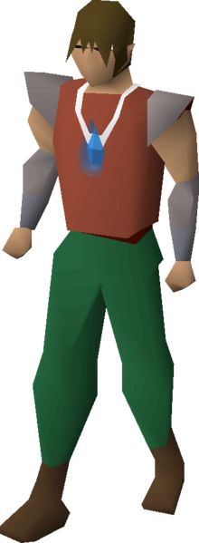 File:Salve amulet(ei) equipped.png