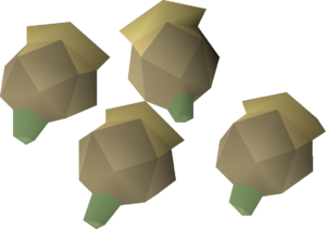 Celastrus seed 4 detail.png