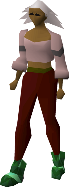 File:Guthix d'hide boots equipped female.png