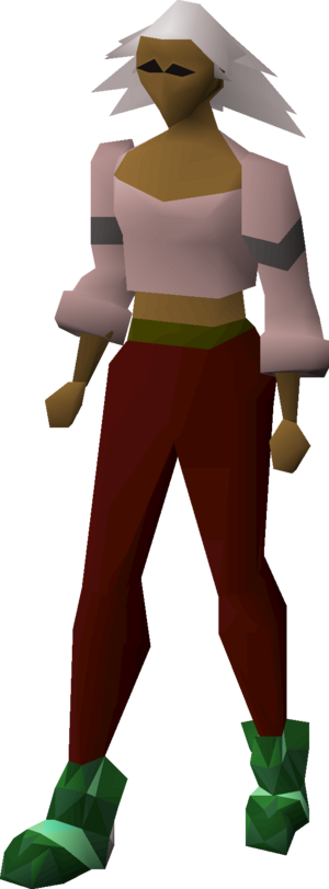Guthix d'hide boots equipped female.png