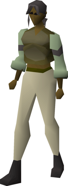File:Hardleather body equipped female.png