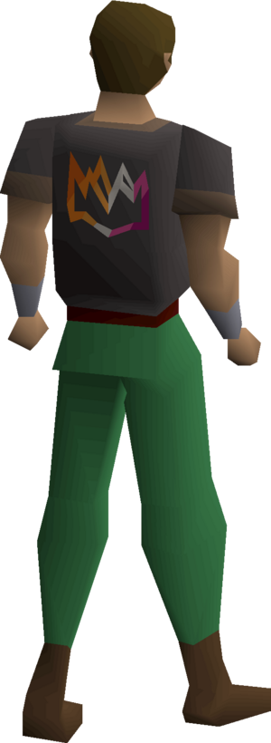 Colourful crown shirt (lesbian) equipped male.png