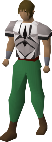 File:Graceful top (Kourend) equipped male.png