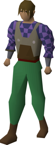 File:Builder's shirt equipped male.png