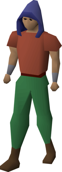 File:Agility hood equipped.png