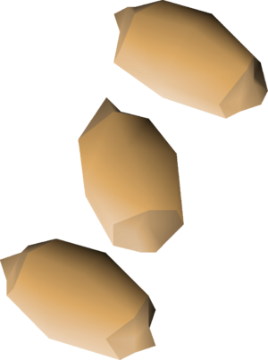 Palm tree seed 3 detail.png