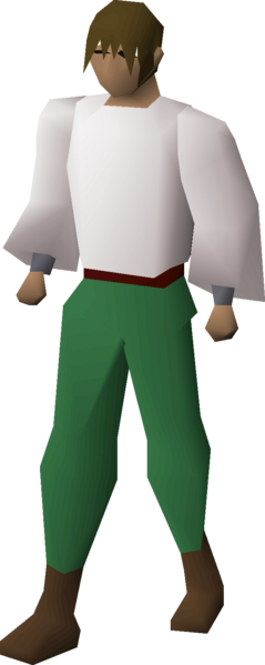 File:Desert shirt equipped male.png