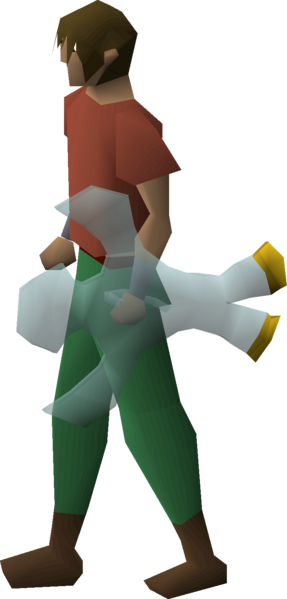 File:Elidinis' ward equipped male.png