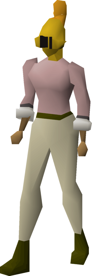 Steel heraldic helm (Varrock) equipped female.png