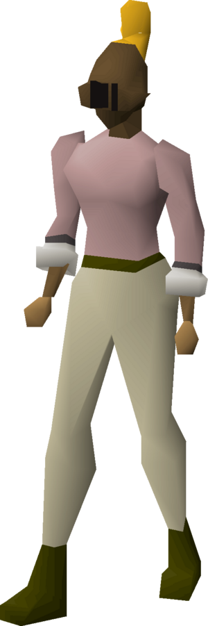 Bronze full helm (g) equipped female.png