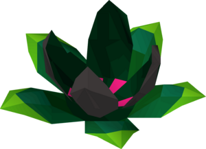 Medivaemia blossom detail.png
