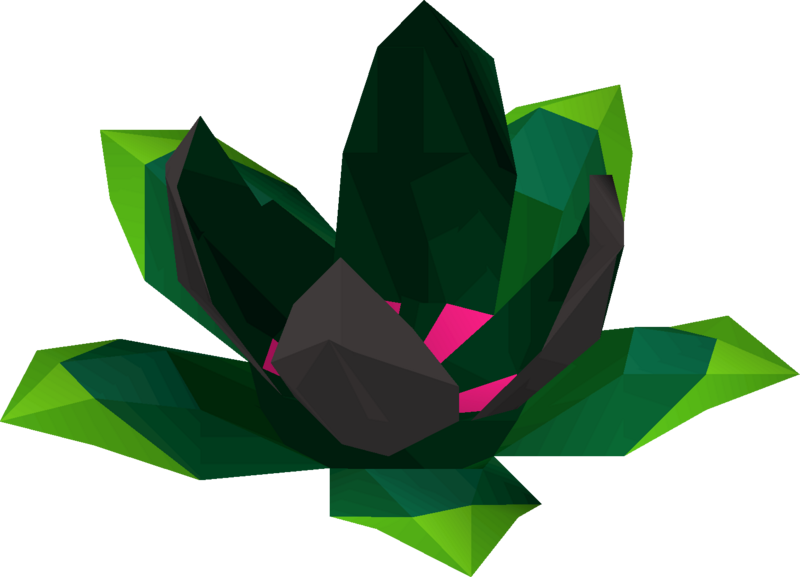 File:Medivaemia blossom detail.png