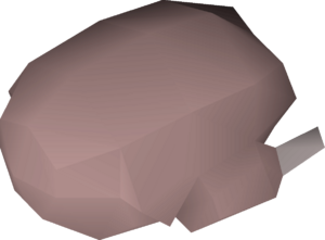 Raw bird meat detail.png