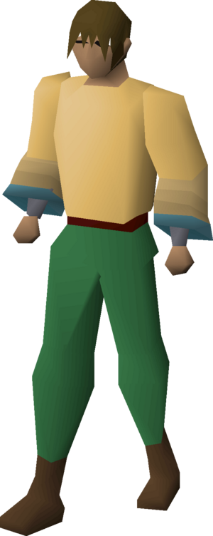 Robe of elidinis (top) equipped male.png