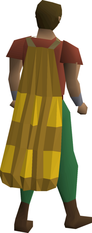 Team-14 cape equipped.png