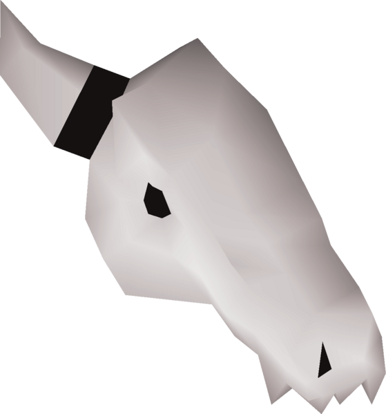 File:Left skull half detail.png