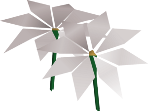 Lily of the sands detail.png