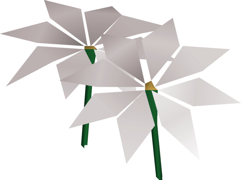 File:Lily of the sands detail.png