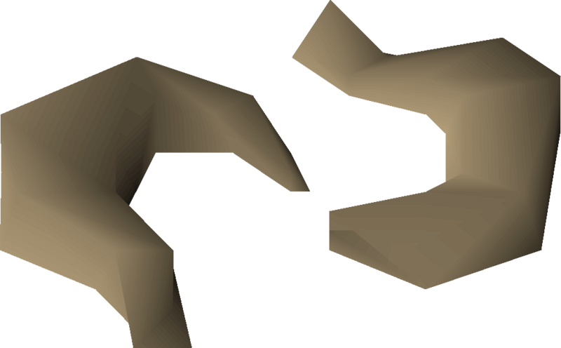 File:Nasturtium seed 2 detail.png