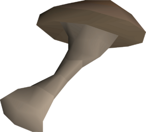Arder mushroom detail.png
