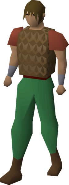 File:Bronze chainbody equipped male.png