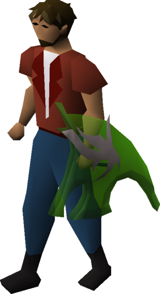 File:Divine spirit shield equipped male.png